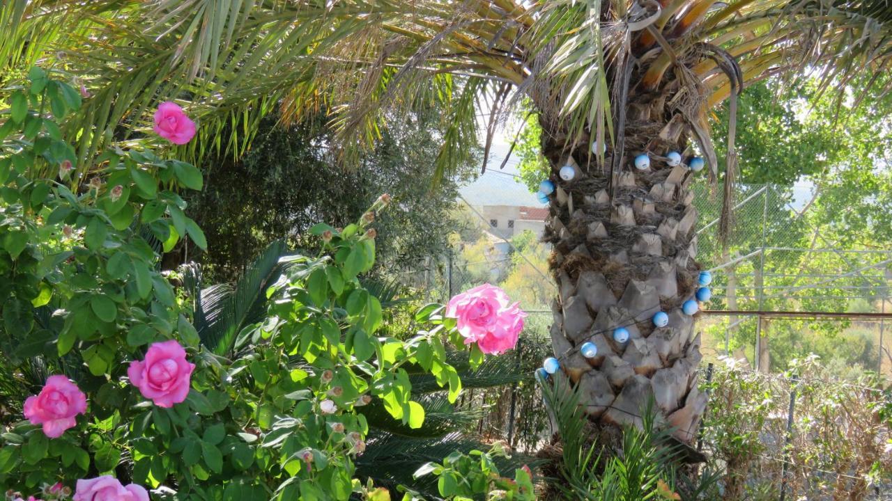 Monte Madalena Villa Adega Exteriör bild