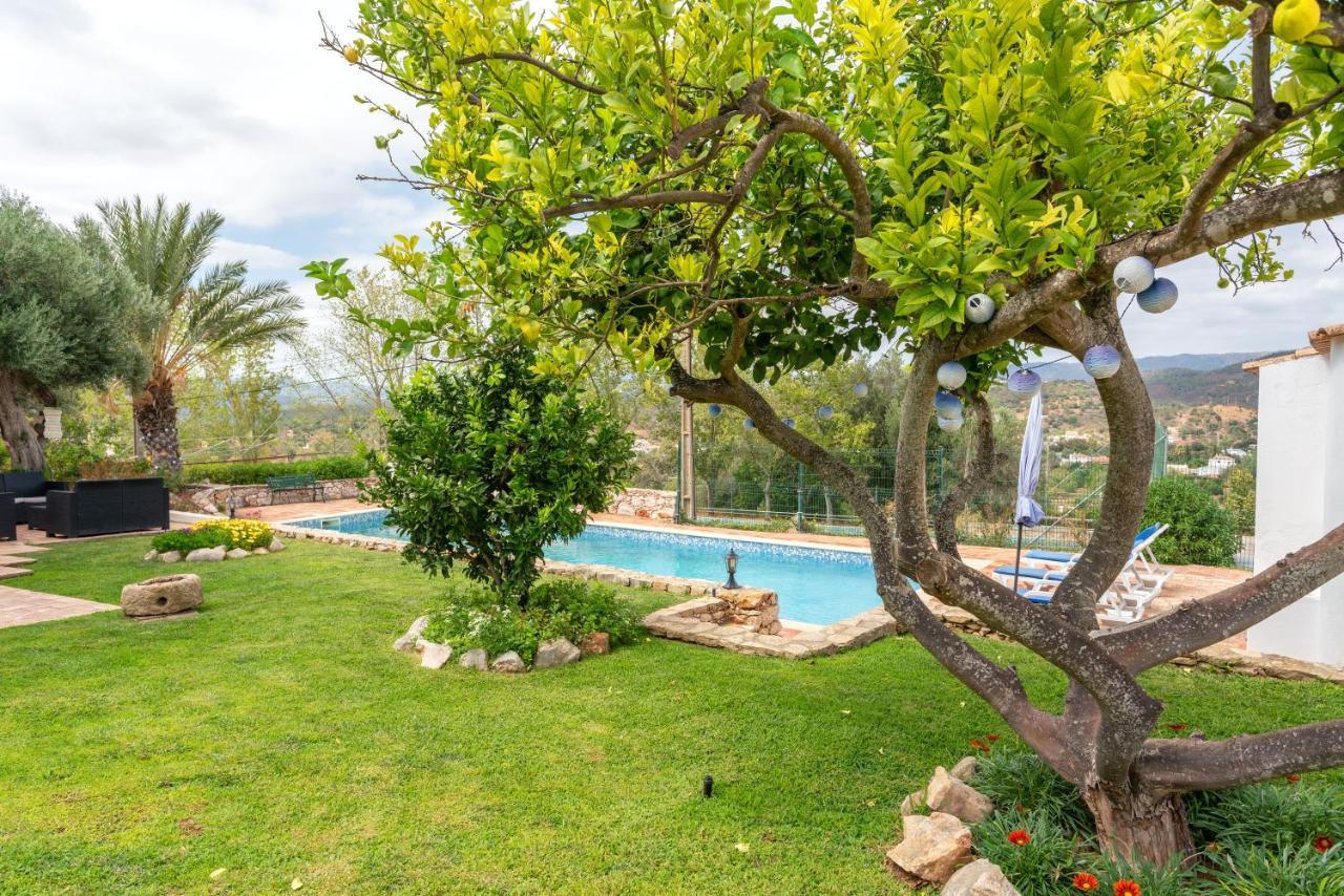 Monte Madalena Villa Adega Exteriör bild