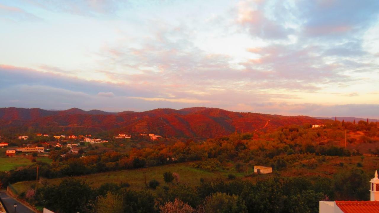 Monte Madalena Villa Adega Exteriör bild